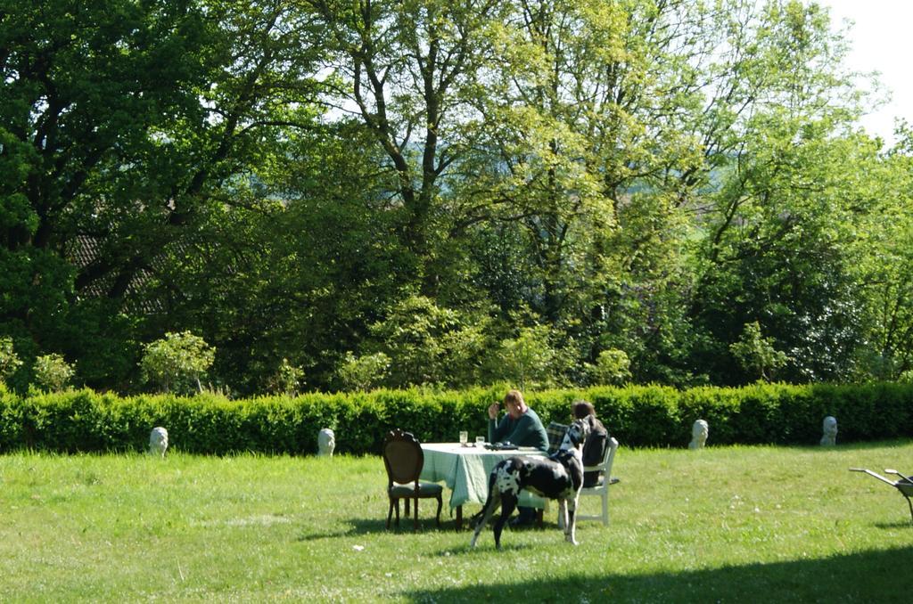 Chateau Neufays Тё Экстерьер фото